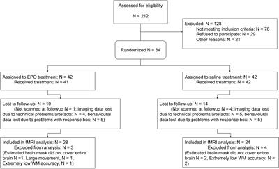 Whole-Brain Exploratory Analysis of Functional Task Response Following Erythropoietin Treatment in Mood Disorders: A Supervised Machine Learning Approach